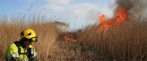 Quema controlada en el Parc Natural del Delta de lEbre