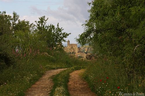 ‘Caminos de Pasión’