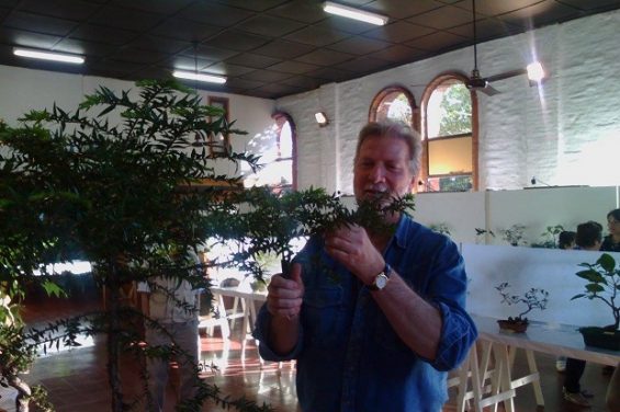 Argentina: En Oberá cultivan bonsáis de especies autóctonas