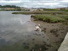 Mariscadores de la Ría do Burgo denuncian un vertido de aguas fecales