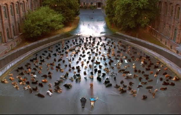 Estreno de videoclip musical en favor de la adopción #YoAdopto (Ver VIDEO)