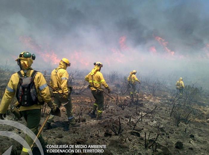 Andalucía reconoce la categoría de bombero forestal