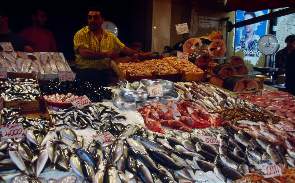 Las poblaciones de peces marinos en el mundo en franco declive