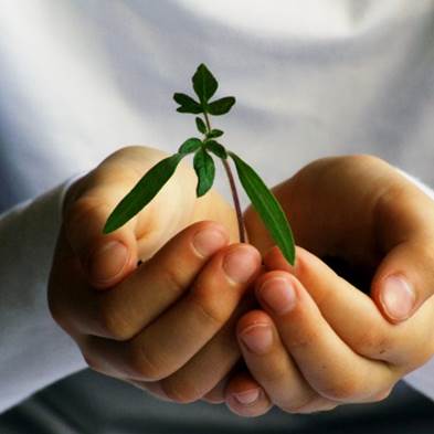 M.B.A Administración Ambiental