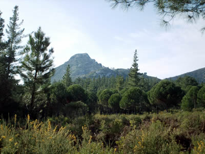 Ayuntamiento de Marbella instará a la Junta a que ponga en valor la red de senderos de Sierra Blanca