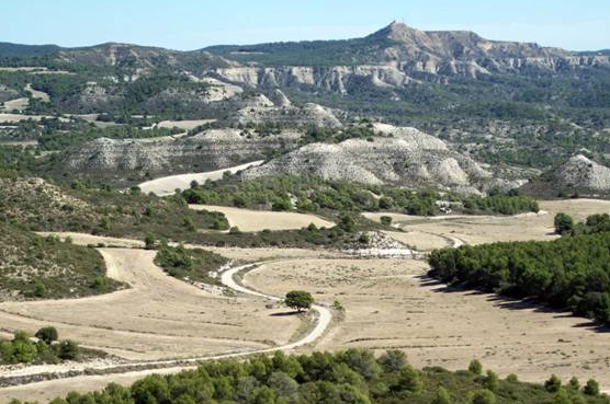 Los ecosistemas de la zona árida (eza)