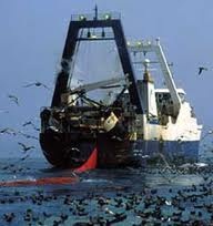 Agricultura establece un plan de gestión para los barcos que faenan en el caladero comunitario