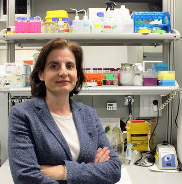 ‘Crowdfunding’ para el desarrollo de un fármaco contra el cáncer por amianto