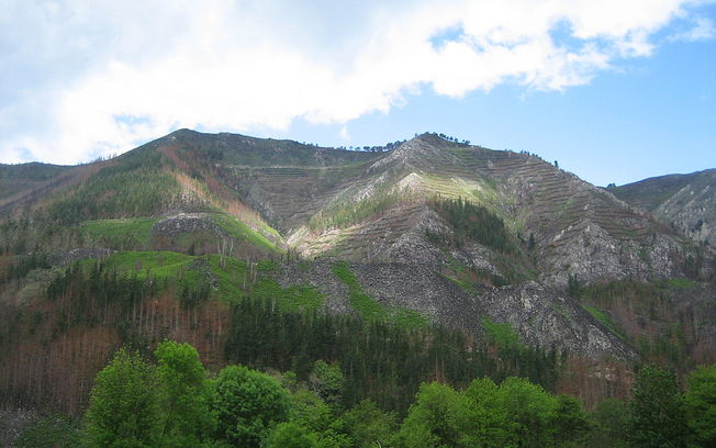 Medio Ambiente finaliza las obras de restauración tras el incendio forestal en Parres