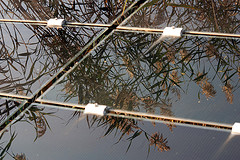 Firman un acuerdo para el desarrollo de proyectos de energía solar