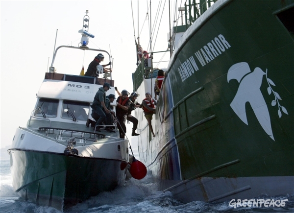 El día que todos arrimamos el hombro contra la madera ilegal