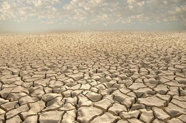 El ser humano es la única especie del planeta que malgasta sus recursos