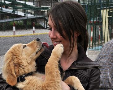 La mortalidad tras un infarto es menor en quienes tienen un perro como mascota