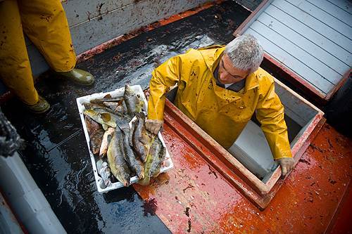 Al igual que en España