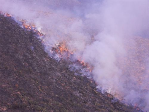 800 incendios forestales en Cantabria en 2012