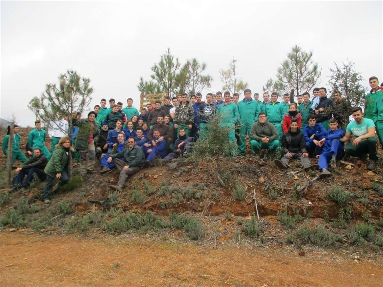 Estudiantes extremeños ayudan en la reforestación de Sierra de Gata