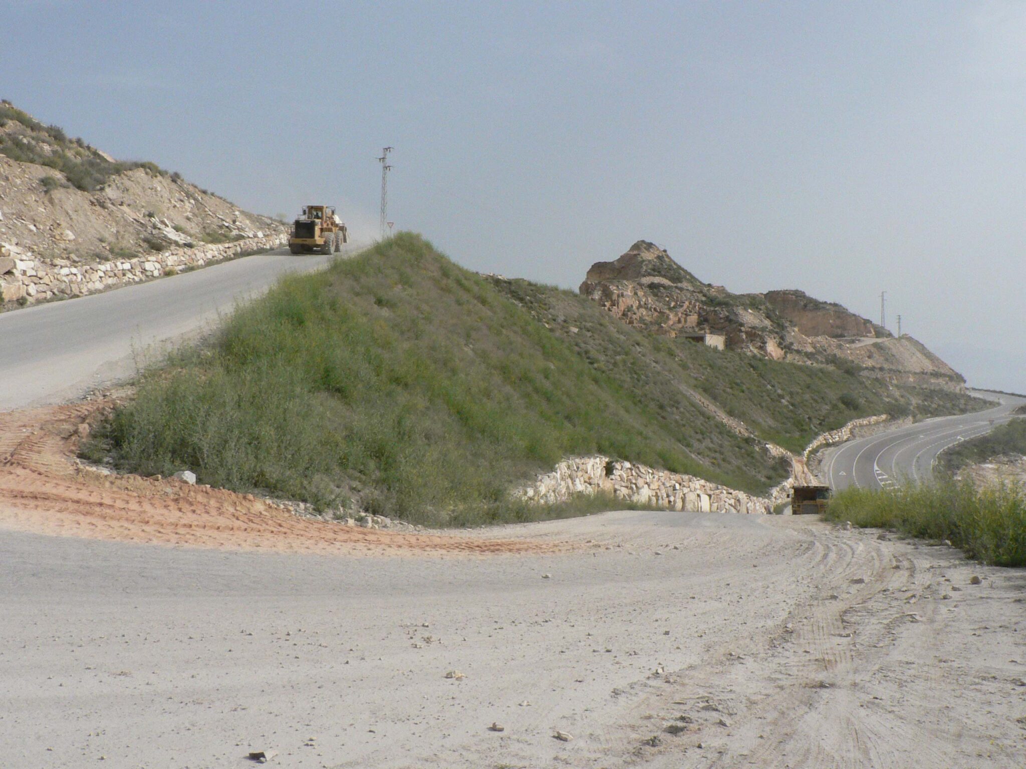 El CTAP repuebla con más de 250.000 plantas las canteras de mármol de la Sierra de los Filabres