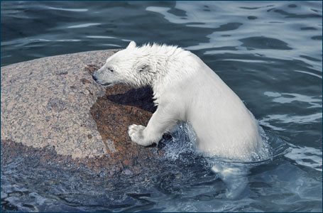 Geología y cambio climático