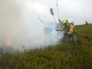 MAGRAMA estudia que las brigadas de incendios trabajen en invierno