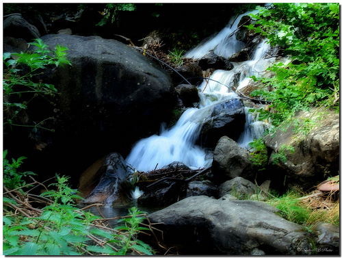El Gobierno aprueba la ampliación del parque fluvial de la Comarca de Pamplona en 47