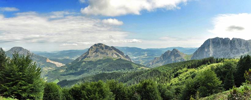 Presta mucha atención a este máster en rehabilitación ambiental terrestre