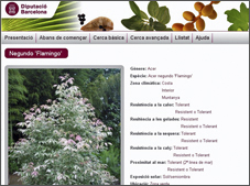 Buscando el mejor verde urbano de Barcelona