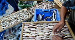 Un 51% de los españoles pagaría hasta un 10% más por un pescado más sostenible