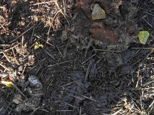 Buscan a los responsables de los vertidos en Fuentepelayo (Segovia)