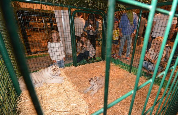 Andalucía reacia a multar a la Feria Iberoamericana de Sevilla por una exhibición ilegal de animales salvajes procedentes del Zoo de Guillena
