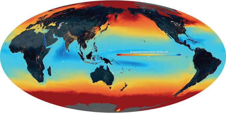 La acidificación del mar ‘desbocada’