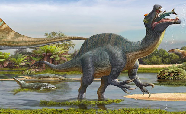 Spinosaurus el dinosaurio ‘pelícano’