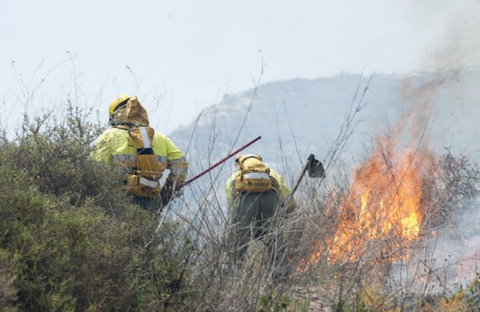 Intencionado el incendio forestal de Hellín (Albacete)