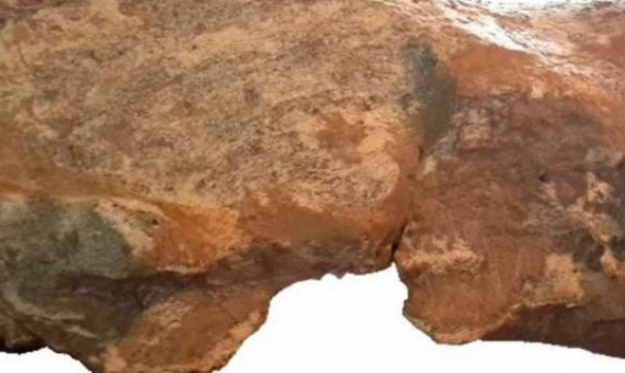 Argentina. Hallan restos de una especie hasta ahora desconocida en San Pedro