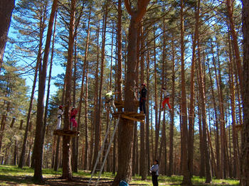 Soria presenta su candidatura a Reserva de la Biosfera