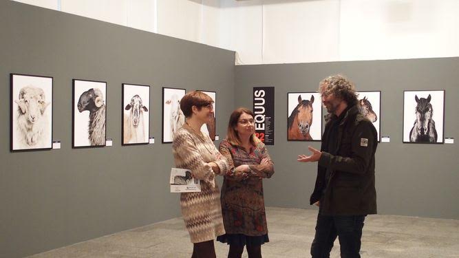 Bestiarium muestra en 100 imágenes las distintas razas autóctonas españolas