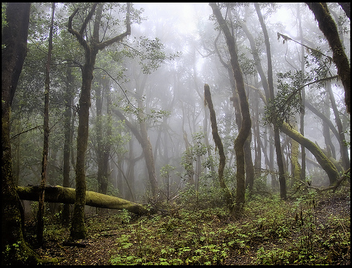La educación ambiental no se fija en intrigas