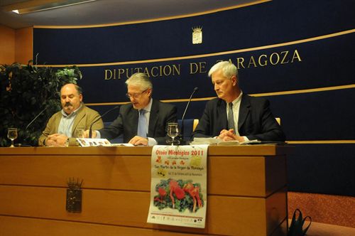 Las setas y el otoño