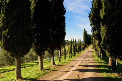 Ecoturismo en Austria