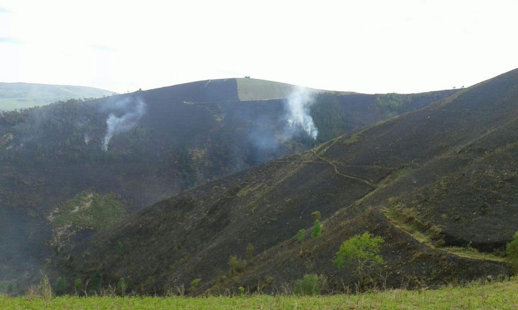 Un incendio forestal en Ayones