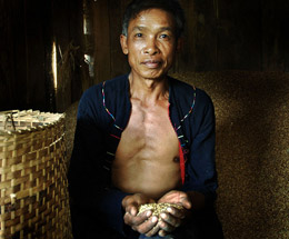 La cooperación entre los agricultores de Laos es necesaria para satisfacer las demandas del mercado de alimentos