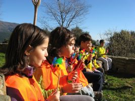 Opción solidaria por la salud respiratoria infantil