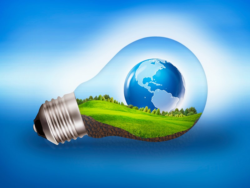 Qué pueden hacer los gobiernos para apoyar la innovación medioambiental