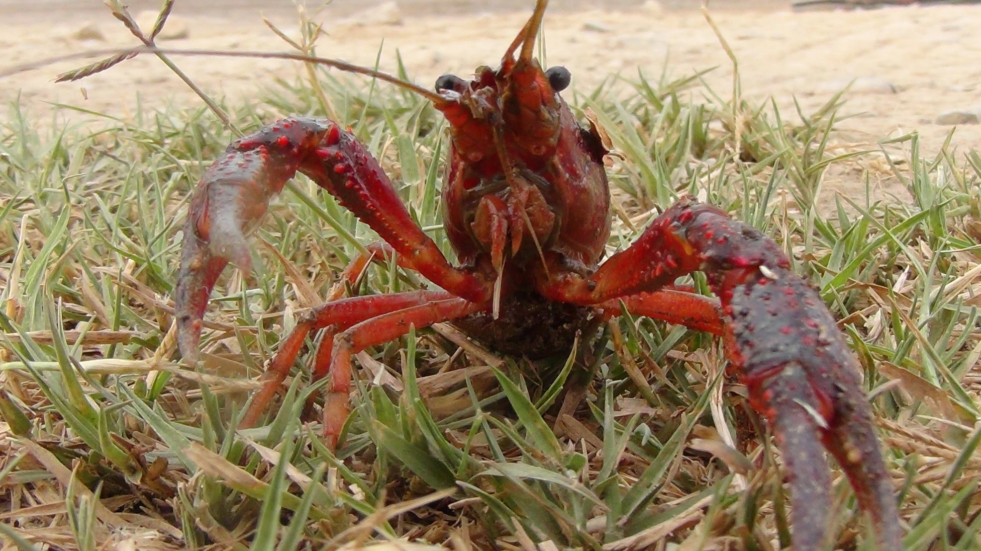 Ley Narbona de 2007 toca a su fin