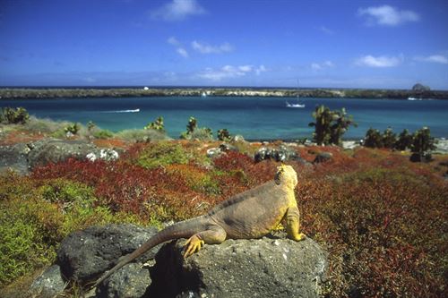 Islas Galápagos
