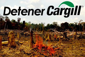 Indonesia. La empresa Cargill quema la selva