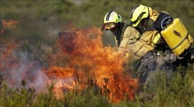 Controlado un incendio en El Matorral (El Hierro)