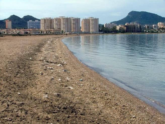 Pacto por el Mar Menor denuncia ante Fiscalía de Medio Ambiente la "regeneración" de playas