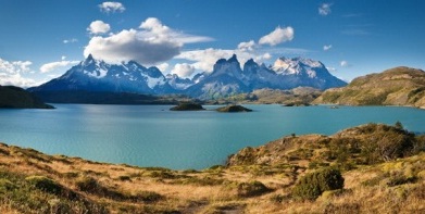 Alistan 50 mil nuevas plantas para extensa reforestación en Parque Nacional Torres del Paine
