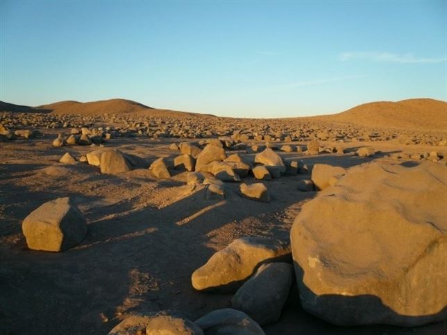 El desierto de Atacama (Chile) alberga vida