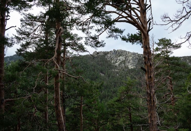 Gran aprobación del Programa del MITECO para el puerto de Navacerrada